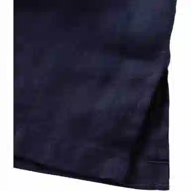 PIERRE CARDIN T