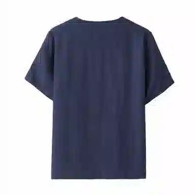 PIERRE CARDIN T