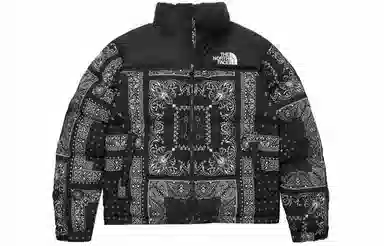 The North Face 1996 Nuptse Black