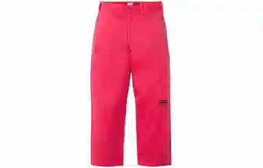 Supreme x JUNYA WATANABE COMME des GARÇONS MAN Printed Work Pant