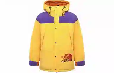 GUCCI x THE NORTH FACE Logo