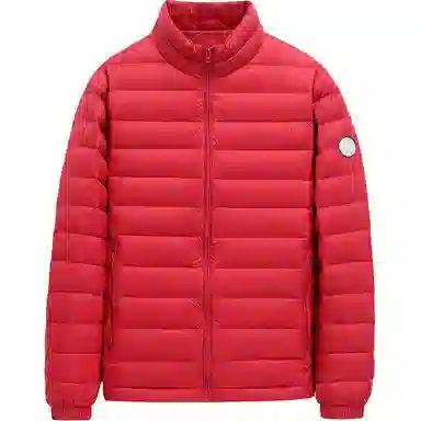 鸭鸭 通勤时尚简约羽绒服 男款