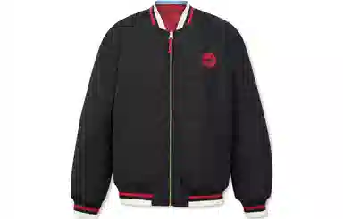 Levi's Reversible Embroidered Jacket