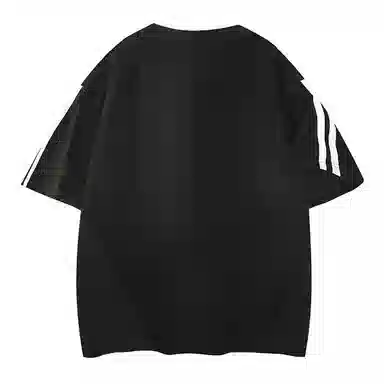 LSVE NASA T