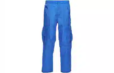 Burberry Cargo Pants Blue