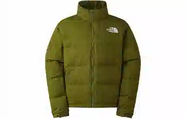 The North Face Nuptse Dragon Year Limited Edition Green