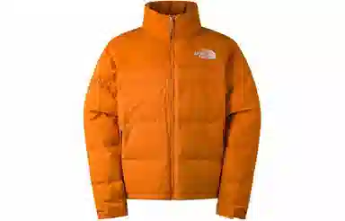 The North Face Nuptse 700 Orange