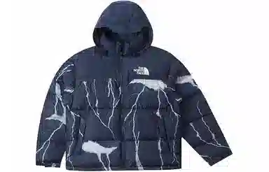 The North Face 1996 Nuptse Blue