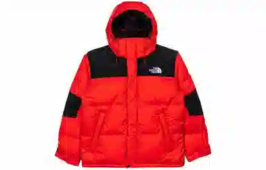 THE NORTH FACE Logo
