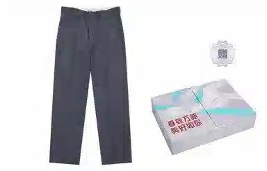 Dickies 874