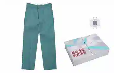 Dickies 874