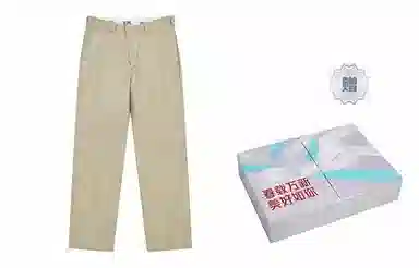 Dickies 874