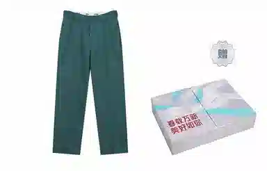 Dickies 874