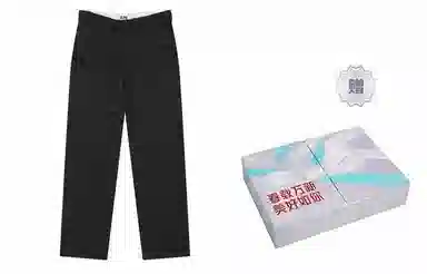 Dickies 874