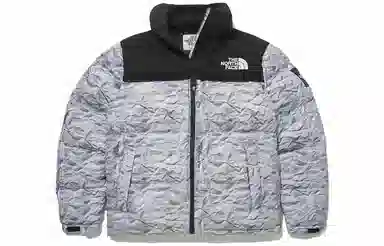 The North Face Novelty Nuptse Silver