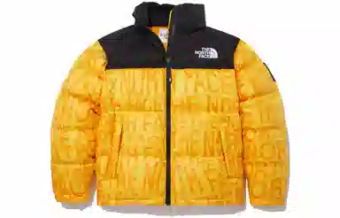THE NORTH FACE Logo