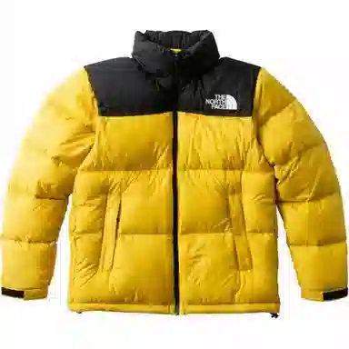 THE NORTH FACE 1996 Nuptse Jacket logo