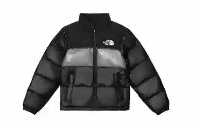 THE NORTH FACE Nuptse 811