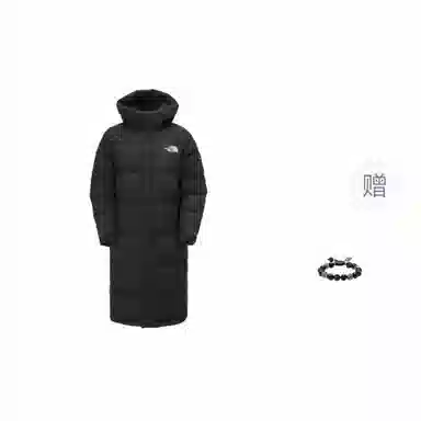 THE NORTH FACE FW23 Logo