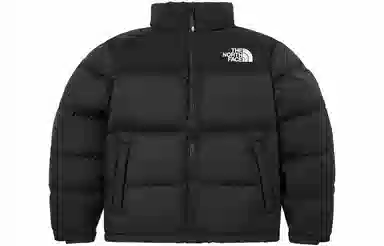 The North Face Novelty Nuptse Black