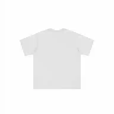 FEAROM T