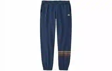 patagonia Line Logo Ridge Stripe