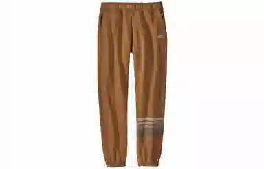 patagonia Line Logo Ridge Stripe