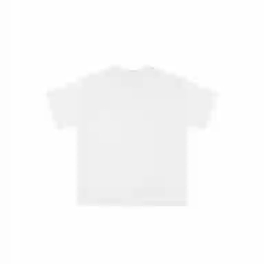 FEAROM T