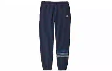 patagonia Line Logo Ridge Stripe