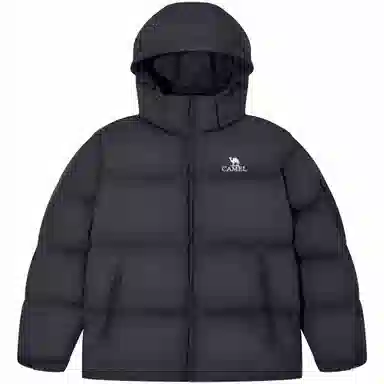 CAMEL Capsule Series