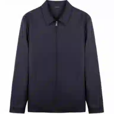 才子 翻领纯色休闲棉服 男款