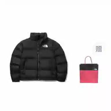 THE NORTH FACE 1996Nuptse LOGO