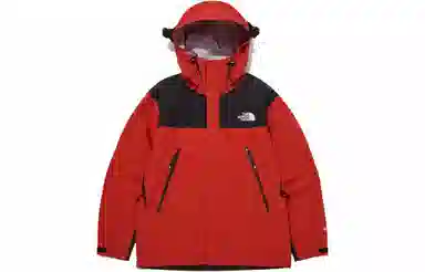 The North Face 1990 GTX L3 Jacket