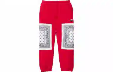 Supreme SS22 Week 16 x The North Face Bandana