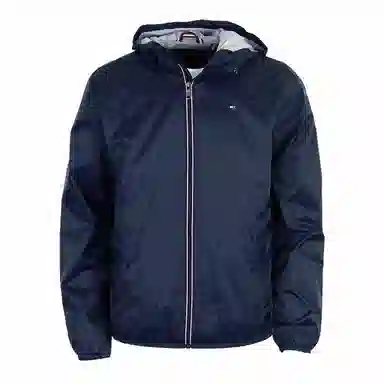 Tommy Hilfiger Logo