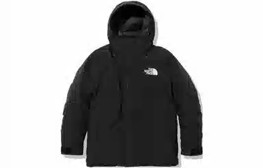 THE NORTH FACE Logo
