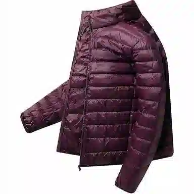 鸭鸭 纯色立领拉链休闲薄款羽绒服 男款