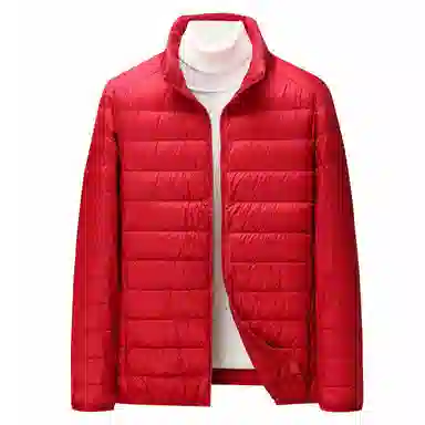 鸭鸭 纯色立领拉链休闲薄款羽绒服 男款