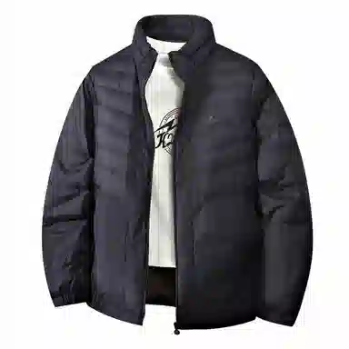 鸭鸭 纯色立领拉链休闲薄款羽绒服 男款