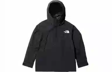 The North Face Logo Hoodie Jacket Black