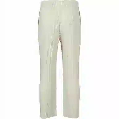 Homme Pliss Issey Miyake