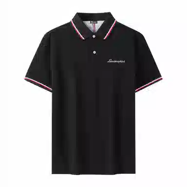 Automobili Lamborghini LogoPolo