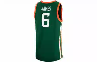 Nike LeBron College 6