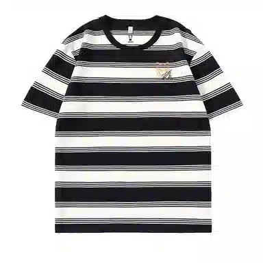 HIPANDA T