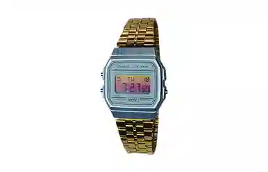 CASIO 200 F-91WS-2