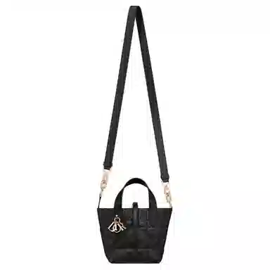 DIOR Toujours CD Lock Tote nano