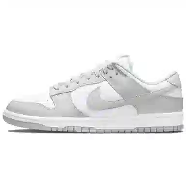 Nike Dunk LTDZ