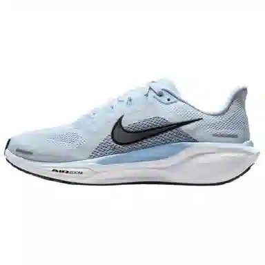 Nike Air Zoom Pegasus 41