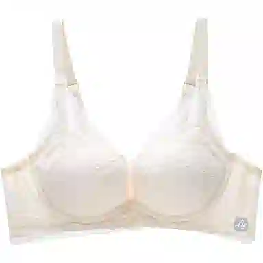 潞优野 小胸聚拢性感蕾丝无钢圈文胸 女款