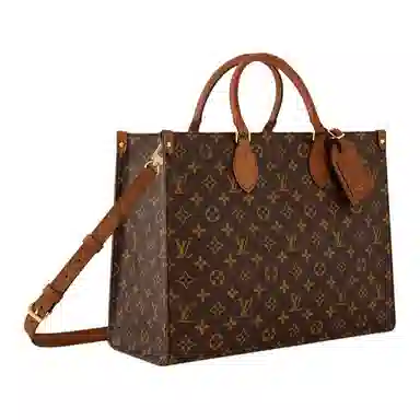 Louis Vuitton Onthego Organizer